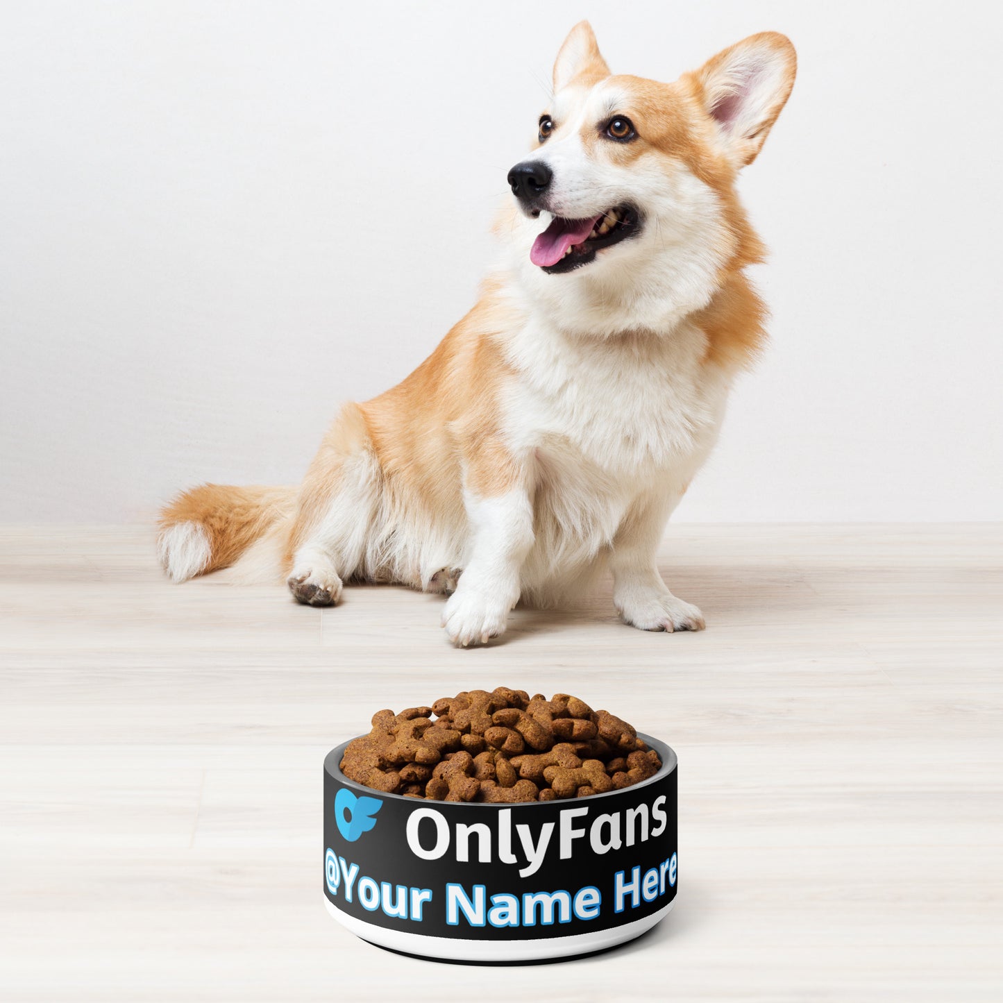 Onlyfans Personalized Custom Stainless Steel Pamper Your Pet's Palate with Pleasure: Onlyfans Exclusive Custom Pet Bowl