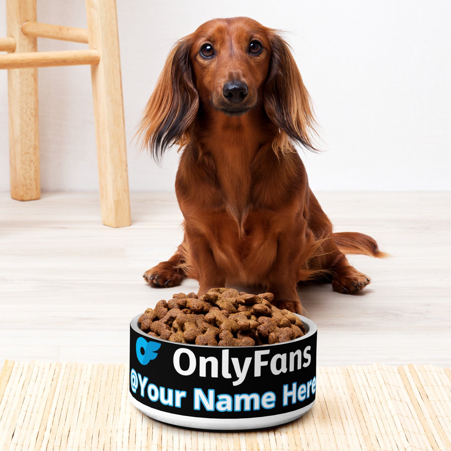 Onlyfans Personalized Custom Stainless Steel Pamper Your Pet's Palate with Pleasure: Onlyfans Exclusive Custom Pet Bowl